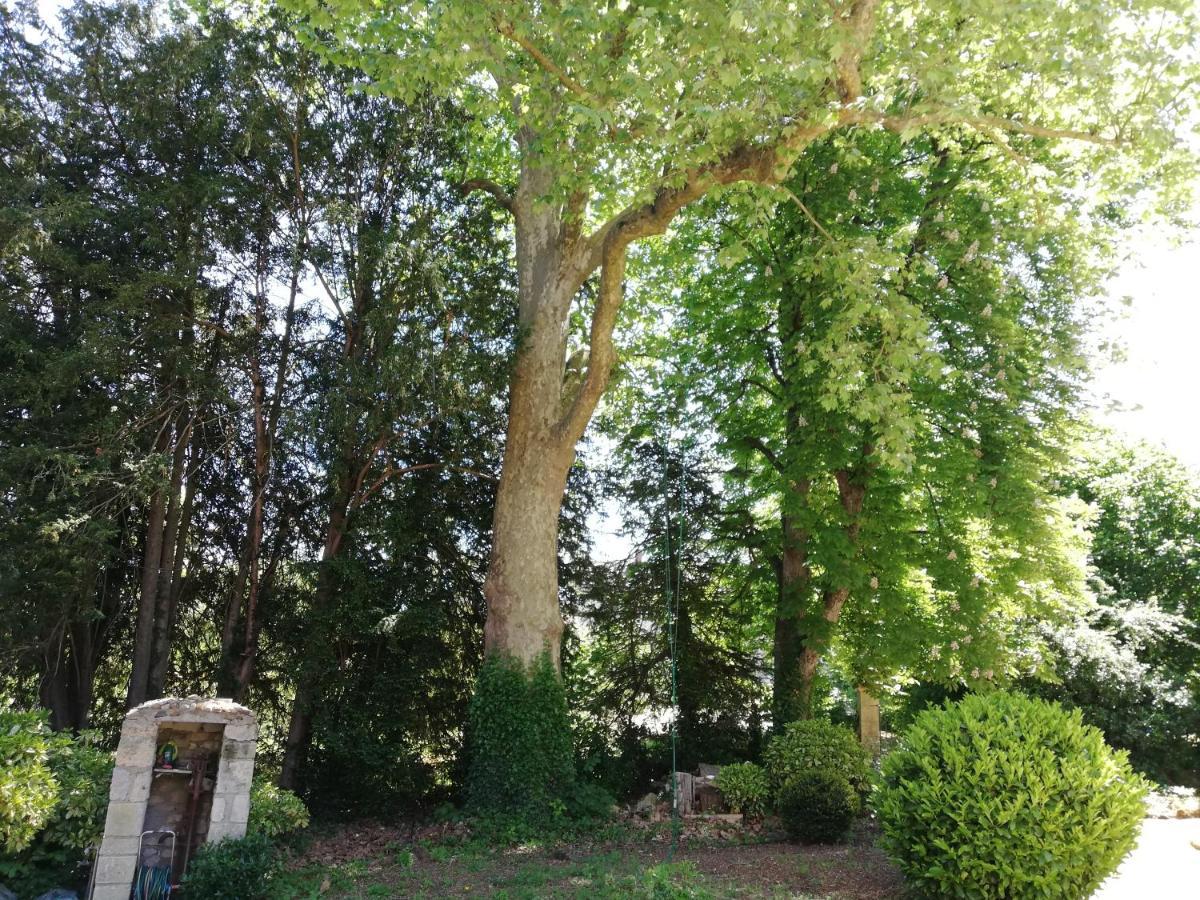 Bed and Breakfast Manoir de la Touche Azay-le-Rideau Exterior foto